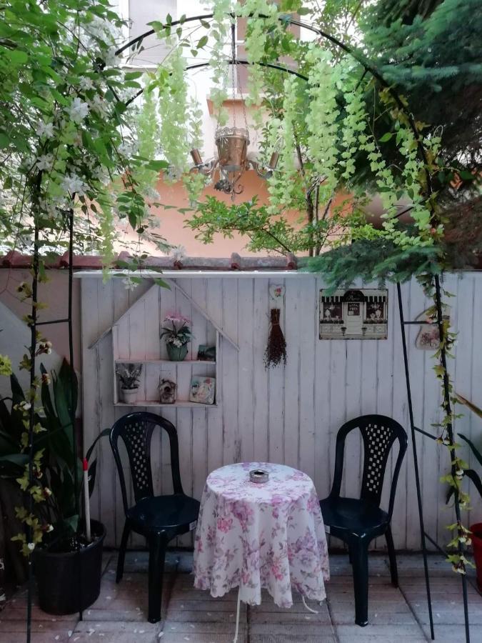 Art Guest House Orchidea Pomorie Eksteriør billede