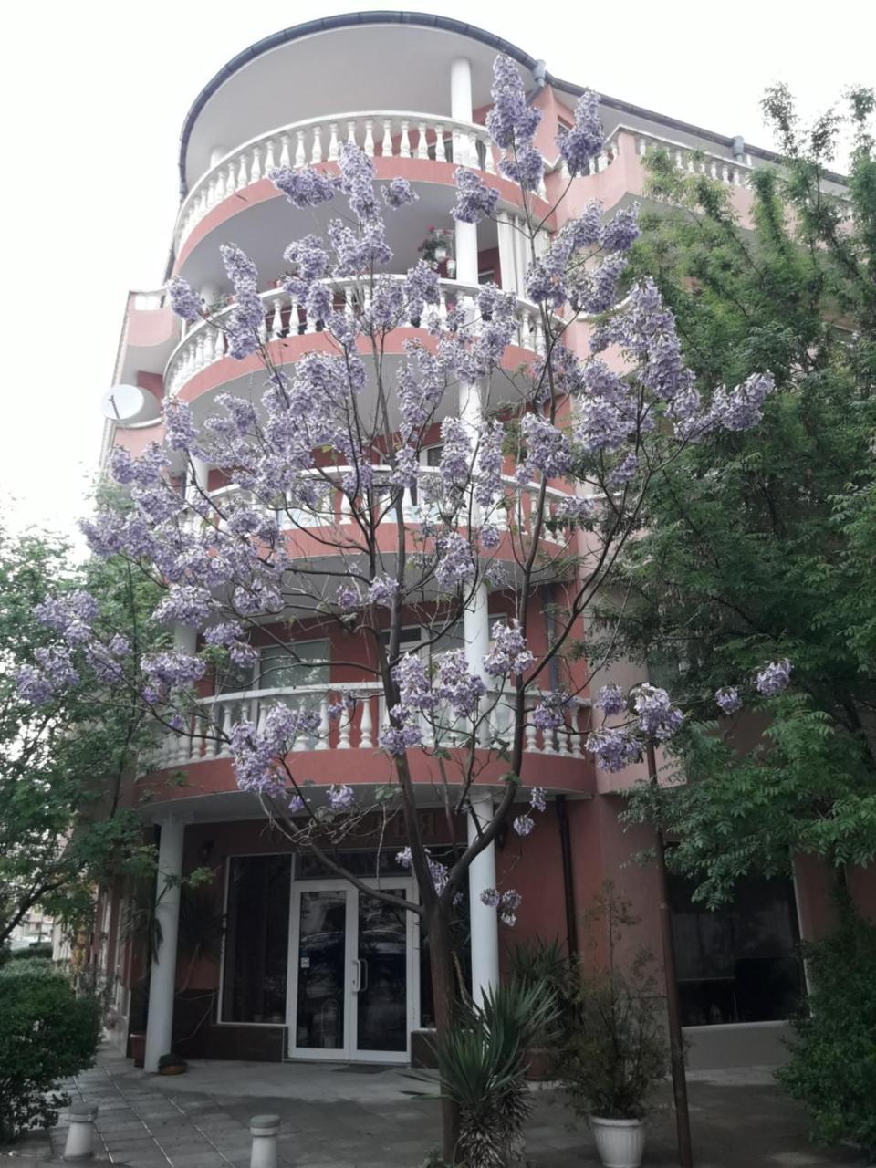 Art Guest House Orchidea Pomorie Eksteriør billede